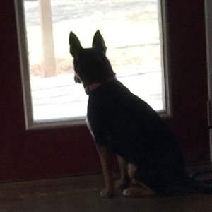 Meet your Posher, Kait